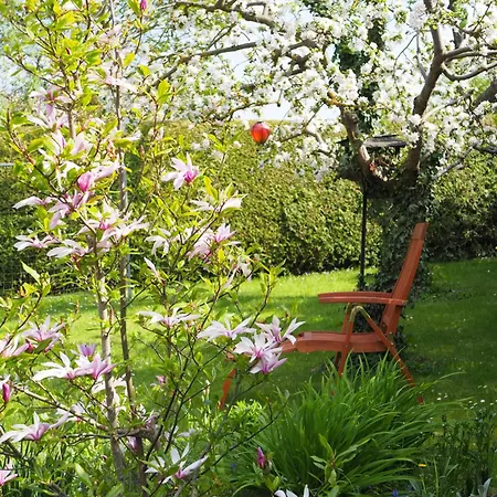 Jarmen Ferienwohnung Appartement